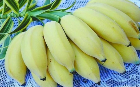 芭蕉和香蕉的区别  大家能区分出吗