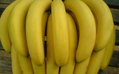 芭蕉和香蕉的区别  大家能区分出吗