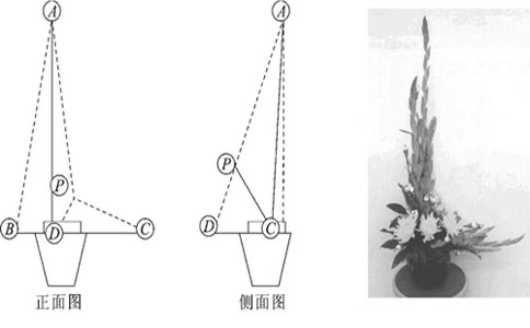 怎样插花才会变得更高级更好看