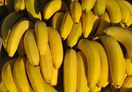 香蕉的功效和作用都有哪些？香蕉虽好可不要贪吃哦