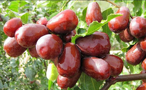 大红枣都有哪些好处？红枣主要用于补血，有补气养神的功效