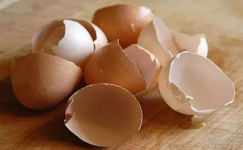 鸡蛋壳也可以做很好的花肥？鸡蛋壳营养也很多