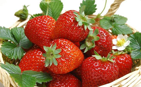 草莓种植方法和管理事项？可以补脾气生津止渴、利尿止泻