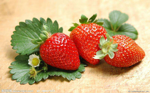 草莓种植方法和管理事项？可以补脾气生津止渴、利尿止泻