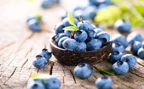 蓝莓的种植方法和注意事项有哪些？合栽培蓝莓的土壤