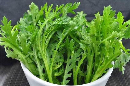秋天种什么菜，10种生活营养蔬菜